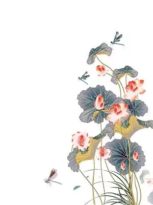 手绘中国风荷花素材