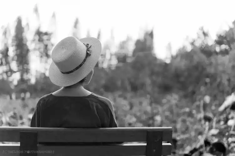 你的背影 黑白 人像 黑白 背影 公园 长椅 黑白图片