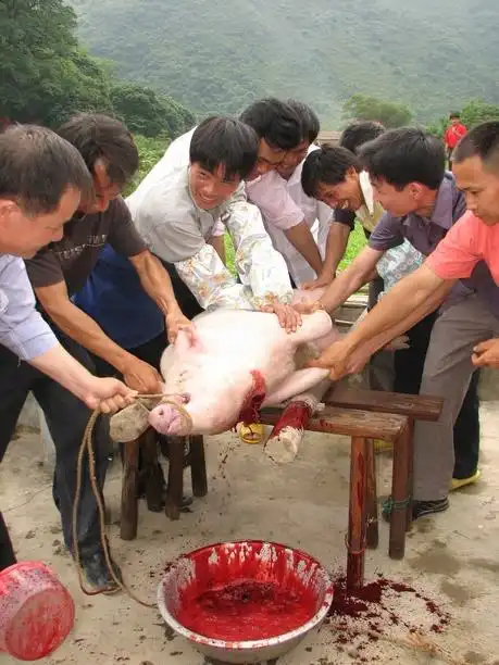 长这么大,第一次发现自己帅的不忍直视,自爆!