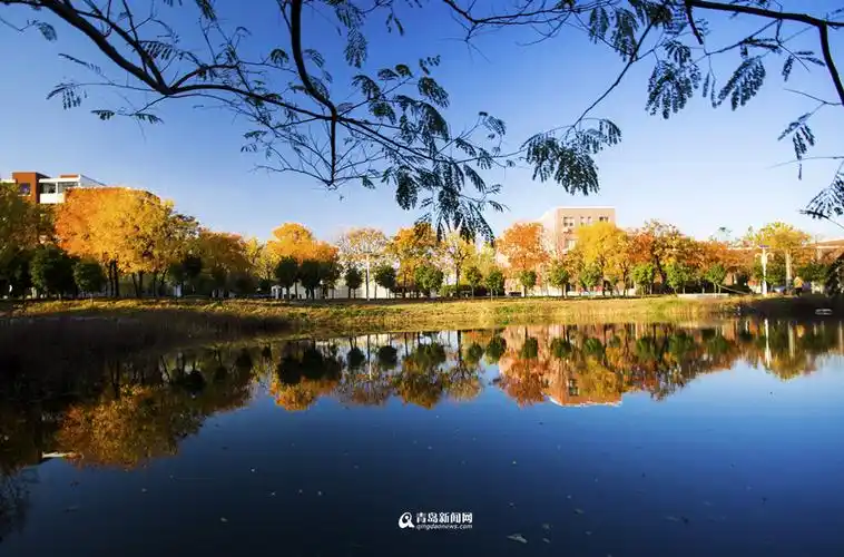 高清谁的大学更漂亮青岛九所高校颜值大比拼
