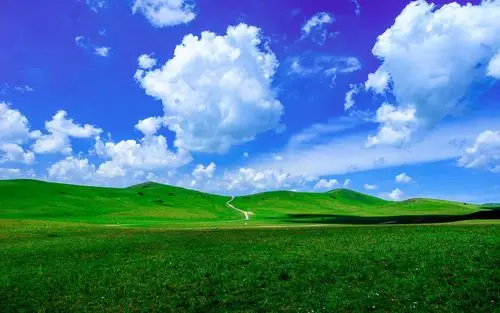 电脑壁纸 风景 看遍夏季草原治愈心里的辽阔之美