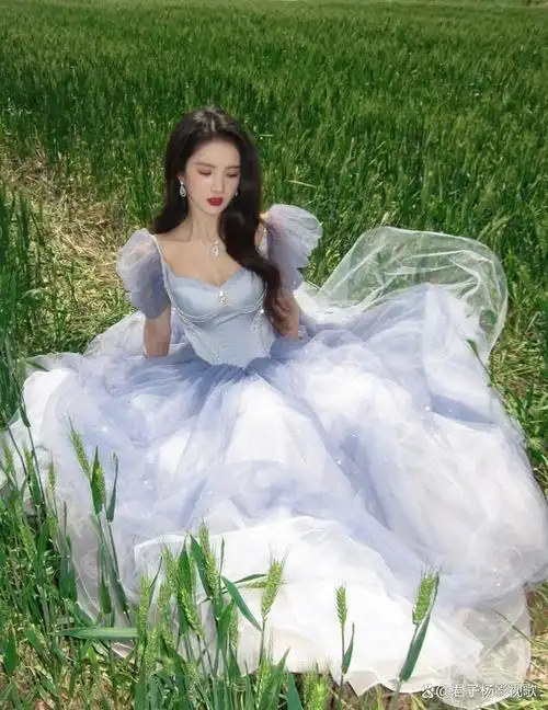 女星刘些宁分享抹胸长裙写真,俏丽多姿,如花似玉