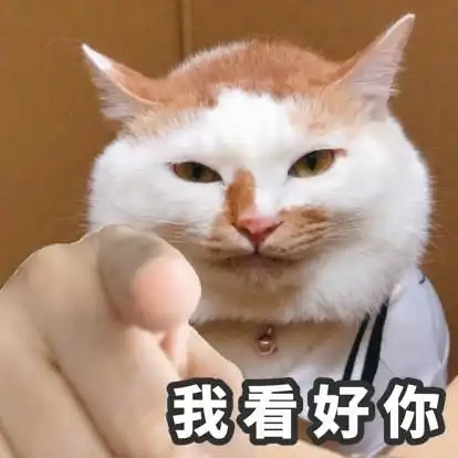 猫猫搞笑表情包图片_设计幽默搞笑图片_乐美图网