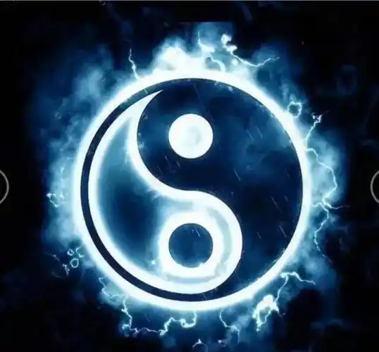 太极图散发着黑白两光的太极图缓慢旋转着,挡住了漫天的金色佛掌.