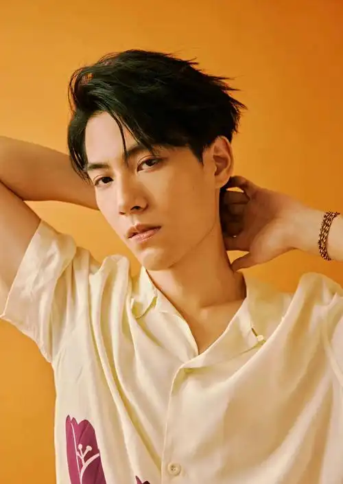 林子闳花样美男写真大片!身穿印花翻领衬衫_高清图集_新浪网