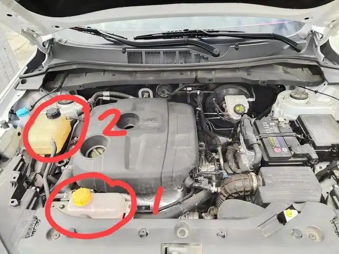 长安欧尚x7-黑色盖水箱是加低温冷却液的,黄色盖子水箱是加高温冷却液