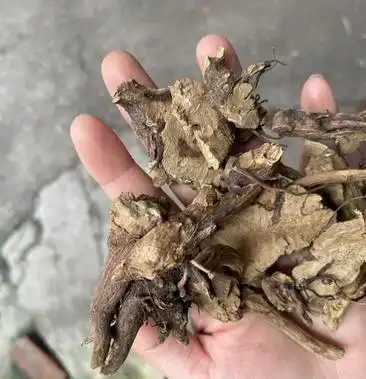 [香茶菜批发]香茶菜 根片 切片价格10.00元/斤 - 一亩田