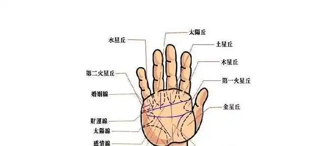 你身边有断掌纹的人吗_曾国藩_命运_手相