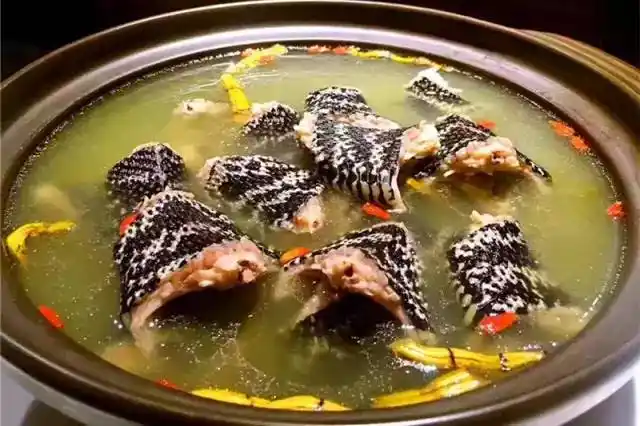 农村人常说龙凤汤好喝,高端滋补佳品,到底什么是龙凤汤呢?
