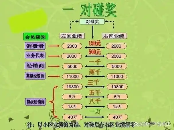 商业模式的革新:双轨直销系统推动企业跨越式发展