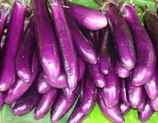 茄子的做法大全