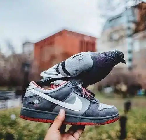 nike dunk sb new york 城市限定 纽约 和平鸽 304292-011