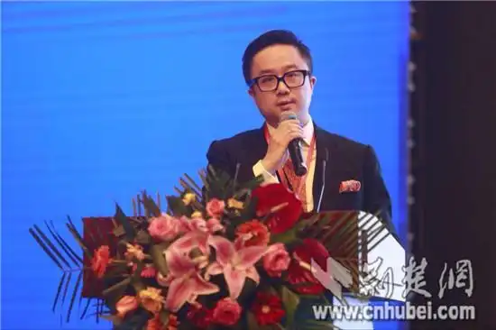 [关注长江产业基金]鲍毅:加强跨境并购 助力湖北制造升级