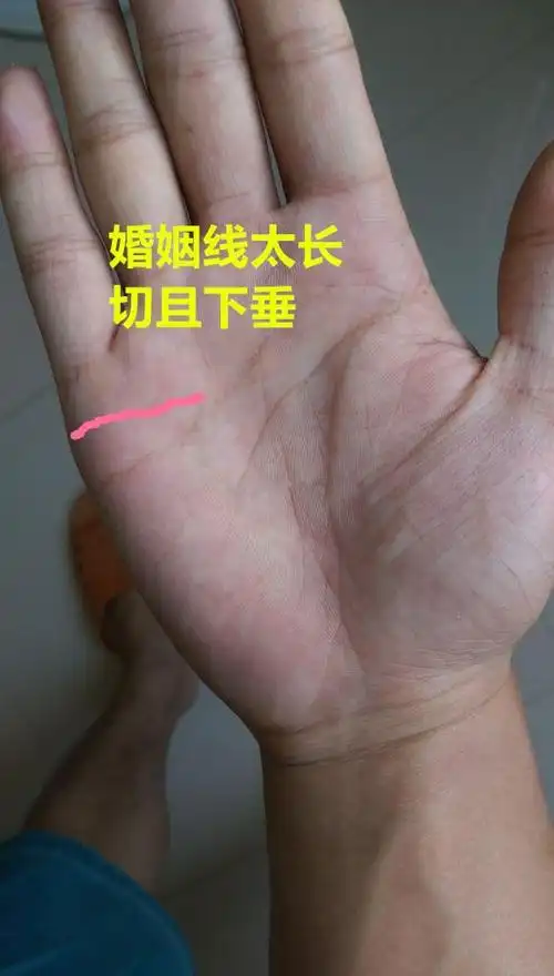 三角在手富贵必有,天纹长羽必有情劫带婚伤