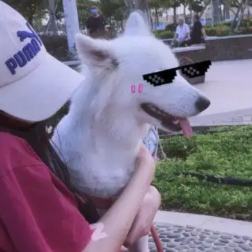 男朋友不是人系列情头