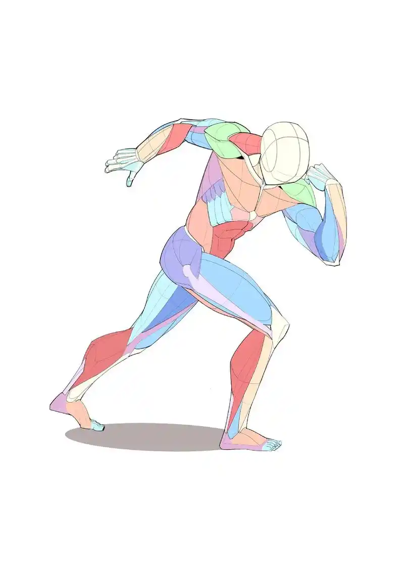 奔跑的肌肉结构～#速写 #绘画素材 #插画 #漫画 #人体结 - 抖音