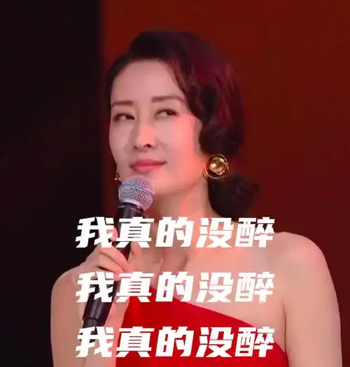 我真的没醉我真的没醉我真的没醉(刘敏涛表情包)