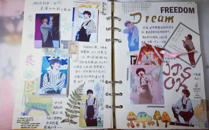 【蔡徐坤】【爱玩的橙小温】追星手帐翻翻看-4