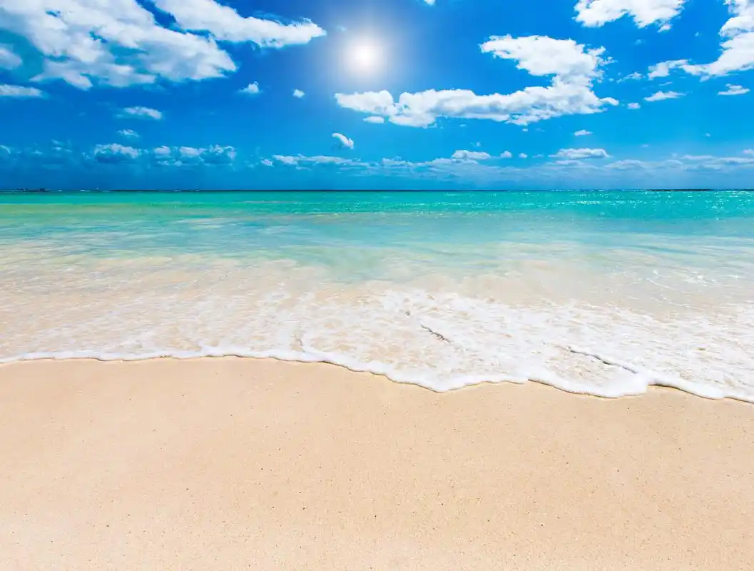 夏天的海  蓝色的大海,波涛汹涌 热情的太阳,炙烤着大地 沙滩上,白色