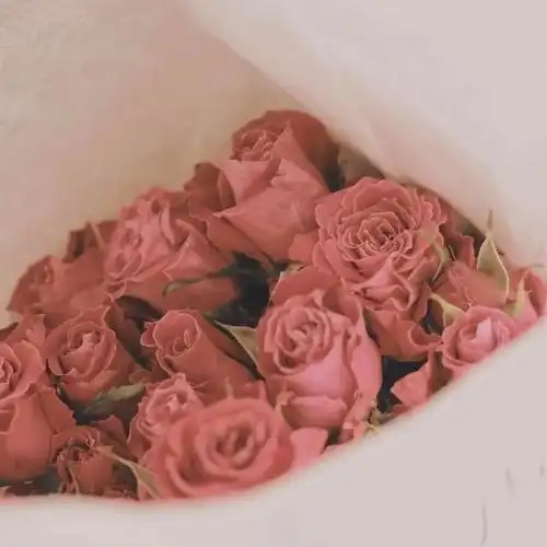 超唯美背景图,超唯美背景图片(个性唯美的背景图 头像套图)