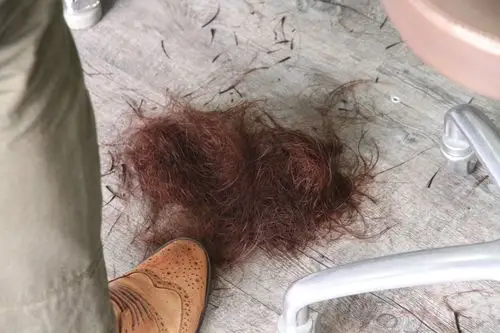 因为本人发量多的夸张,店长研判后就开始帮我的头发减肥….