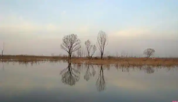 6个山东周边自驾游好去处推荐