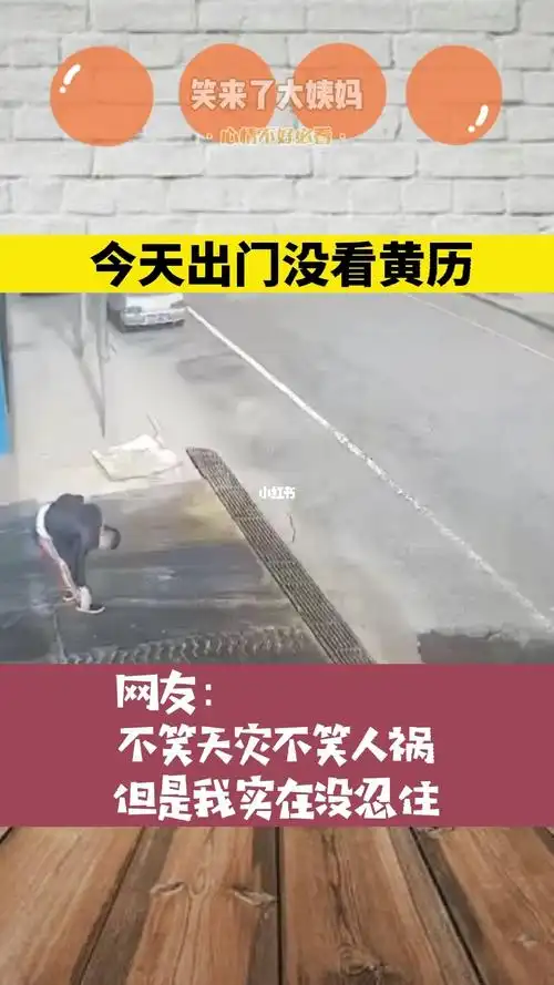 今天出门没看黄历