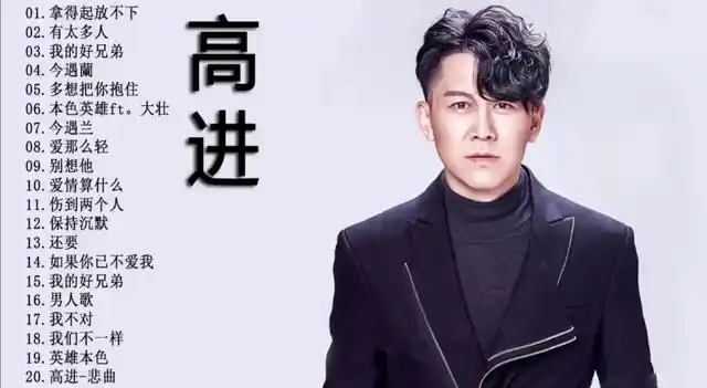 原来这么多好歌,都是这个叫高进的人写的