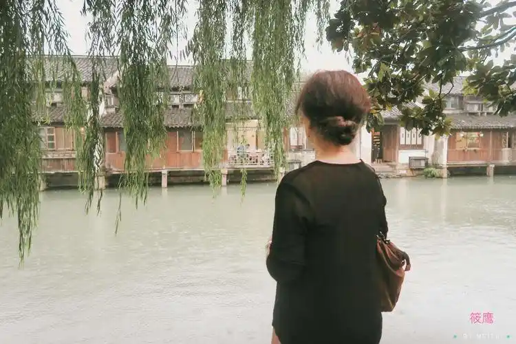 烟雨江南烟雨情