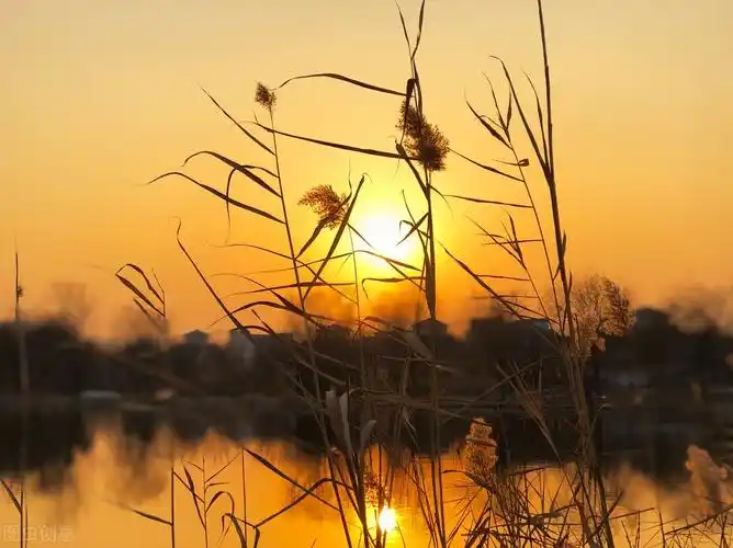 关于夕阳的唯美句子百度文库_晶羽文学网