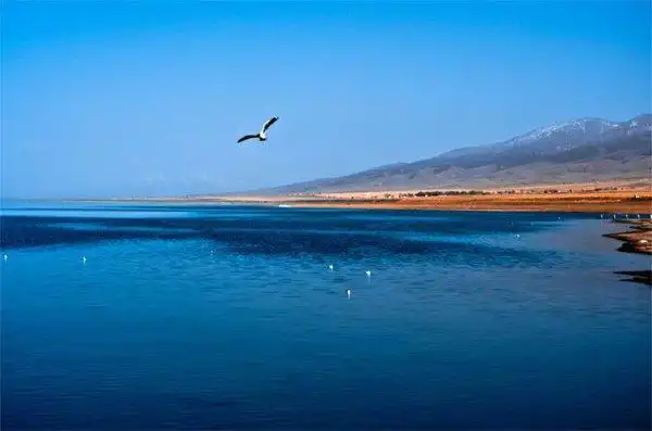 中国的第一大淡水湖是什么湖中国第一大淡水湖是什么湖位于哪里