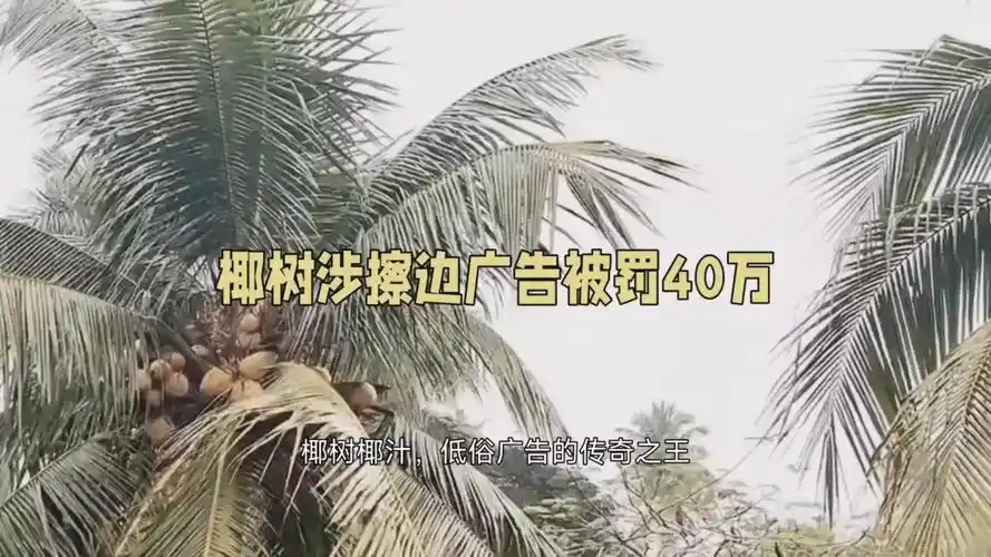 大型纪录片之低俗广告之王椰树椰汁