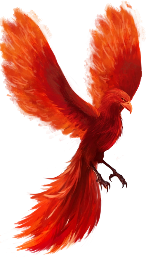 凤凰海报素材背景红色火焰凤凰png元素