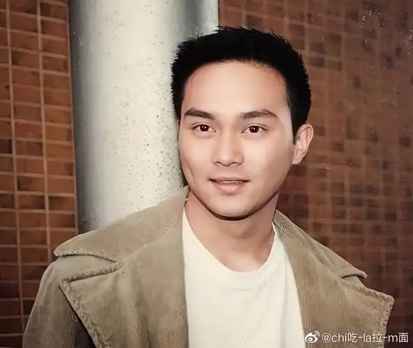 太无聊了建一个张智霖帅图集锦