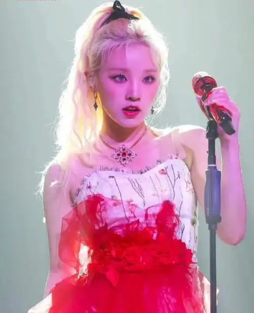 宋雨琦的应援色是红色和紫色,寓意是祝愿宋雨琦的演艺事业大红大紫.