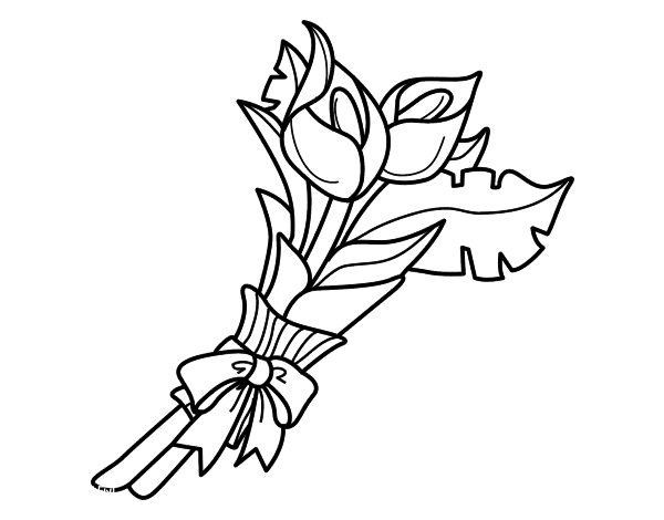 一束马蹄莲简笔画图片花卉图片马蹄莲图片一个小花简笔画图片食人花简