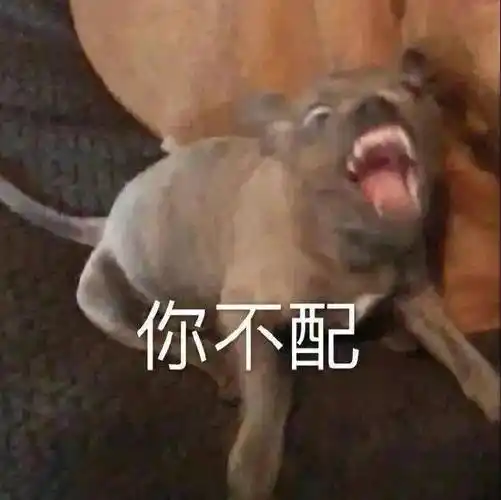 沙雕搞笑表情包:能不能先上dj_公众_黑夜_il