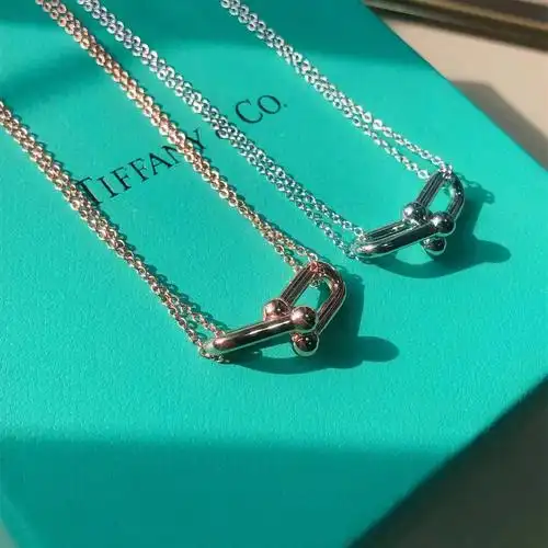蒂芙尼马蹄扣项链