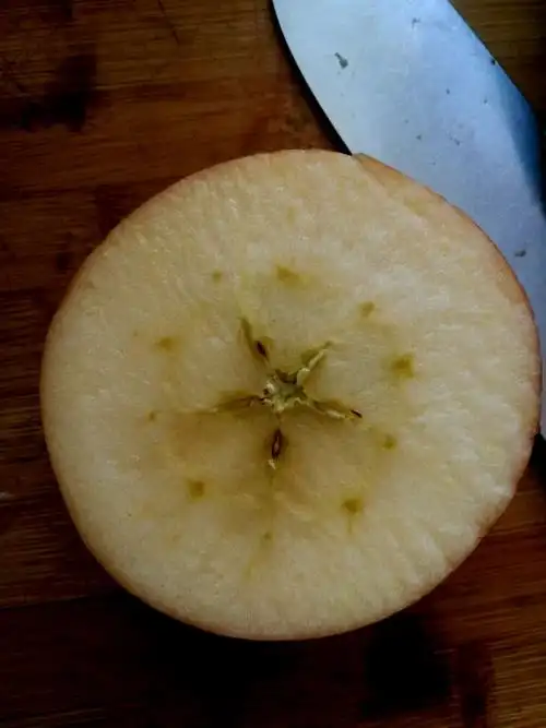 终于到内涵了!老板问我为啥苹果横着切,我给了她一个鄙视的眼神