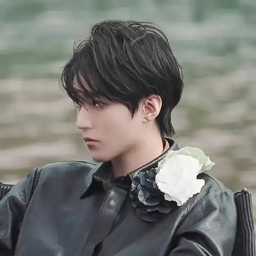 【微信头像】王俊凯