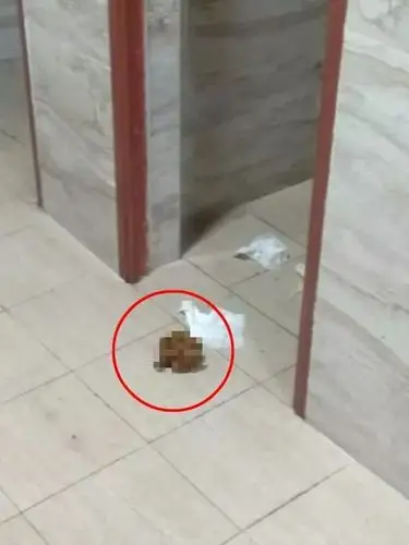 959595(下图慎入,高能恶心)虽然码了,但是还是感觉到好臭好恶心