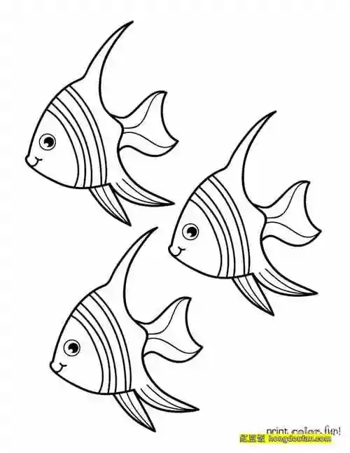 初级数学,卡通,可爱,填色,填色大全,小鱼,小鱼简笔画,尼莫,手绘,数字