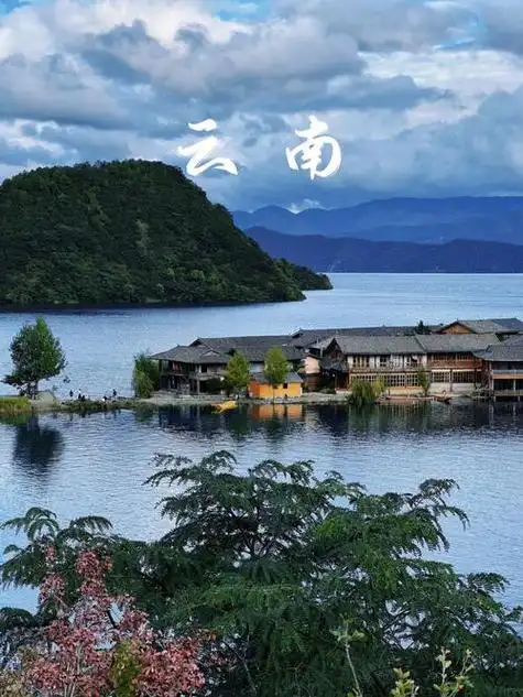 出了云南旅游景点野象-云南旅游景点野象(今日更新/实时) - 云南旅游d