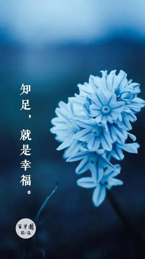 生活禅 | 知足就是幸福