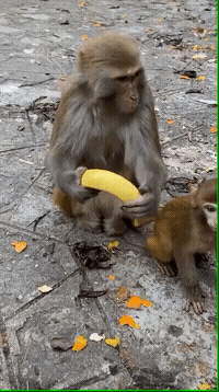 隐藏了这么久,不装了我摊牌了抠鼻