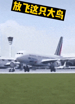 抖音热门表情包丨我想把窝边草吃了