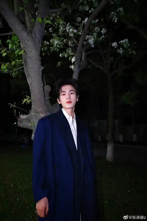 极限一百张.#张凌赫 帅的不管我的死活了#宁安如梦 #混剪 - 抖音