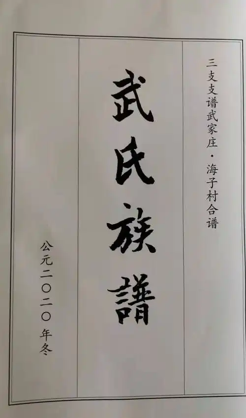 热烈祝贺沂水《武氏族谱》三支支谱武家庄 海子村合谱颁谱祭祖仪式