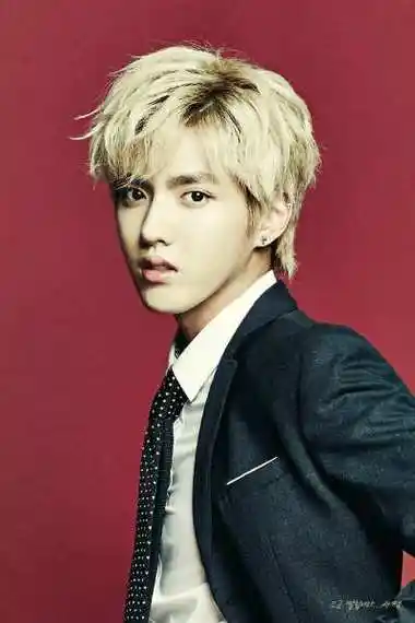 吴亦凡外文名:kris 别名:白菜小哥,煎蛋哥,凡凡,国籍:加拿大民族:汉族