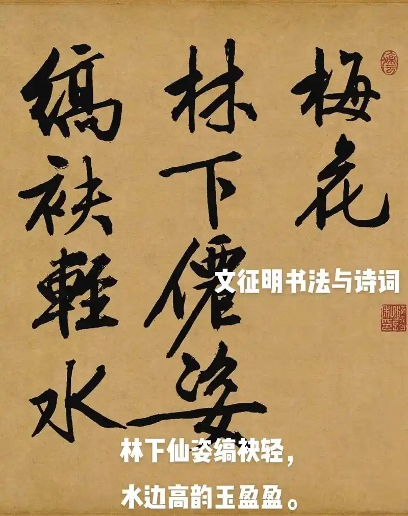 文征明书法赏析.作品,梅花. - 抖音